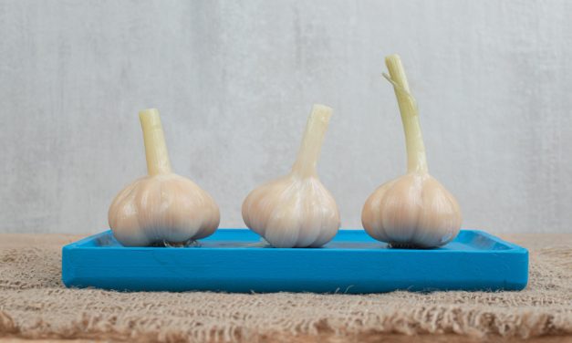 How to grow garlic indoors