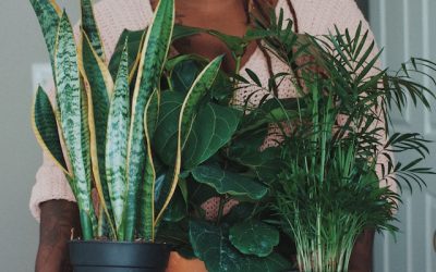 No Green Thumb Required: 7 Houseplants That Are Nearly Impossible to Kill